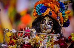 Daily Darshan