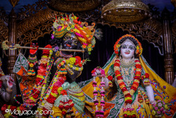 Daily Darshan