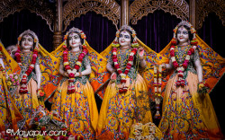 Daily Darshan