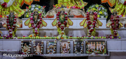 Daily Darshan