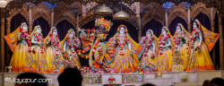 Daily Darshan