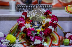 Daily Darshan