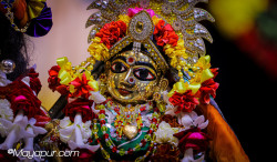 Daily Darshan