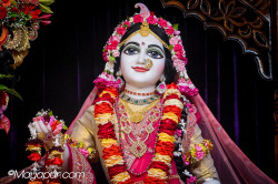 Daily Darshan
