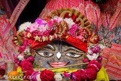 Daily Darshan