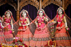 Daily Darshan