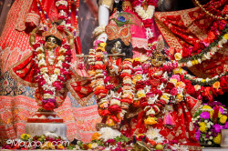 Daily Darshan