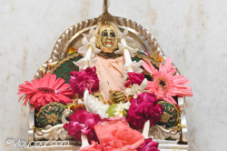 Daily Darshan