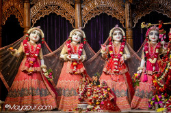 Daily Darshan