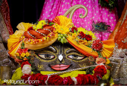 Daily Darshan