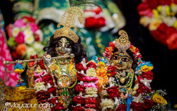 Daily Darshan