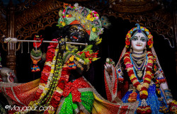 Daily Darshan
