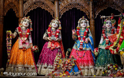 Daily Darshan