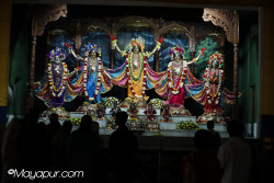 Daily Darshan