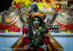 Daily Darshan