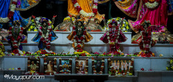 Daily Darshan