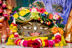 Daily Darshan