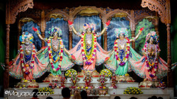 Daily Darshan