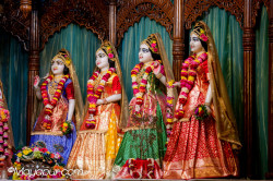 Daily Darshan