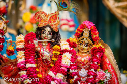 Daily Darshan