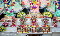 Daily Darshan