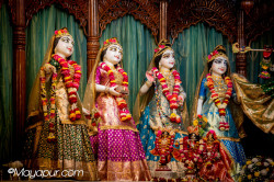 Daily Darshan
