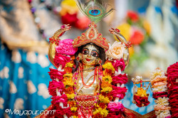 Daily Darshan