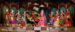 Daily Darshan