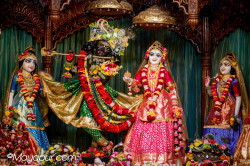 Daily Darshan