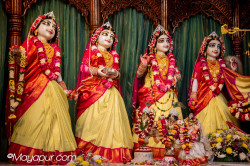 Daily Darshan
