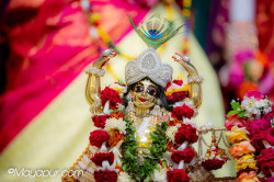 Daily Darshan
