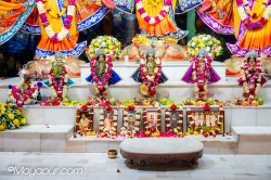 Daily Darshan