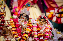 Daily Darshan