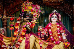 Daily Darshan