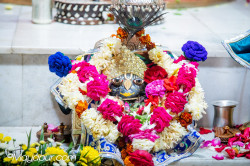 Daily Darshan