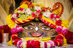 Daily Darshan