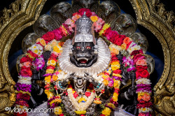 Daily Darshan