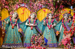 Daily Darshan