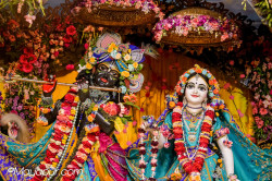 Daily Darshan
