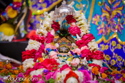 Daily Darshan