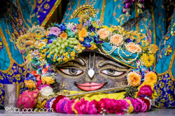 Daily Darshan