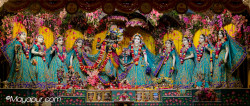 Daily Darshan