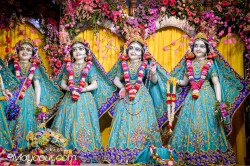 Daily Darshan
