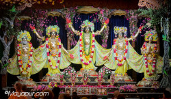 Daily Darshan