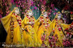 Daily Darshan