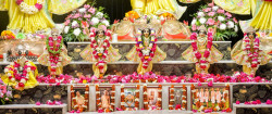 Daily Darshan