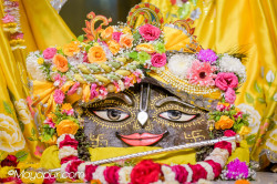 Daily Darshan
