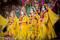 Daily Darshan