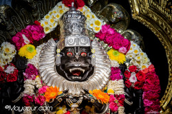 Daily Darshan