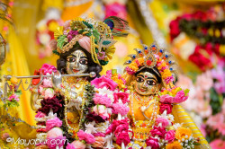 Daily Darshan
